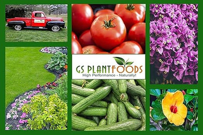 Omri Listed Fish & Kelp Fertilizer for Plants (275 Gallon) - Organic Fertilizer for Vegetables, Trees, Lawns, Shrubs, Flowers, Seeds & Plants - Hydrolyzed Fish and Seaweed Blend