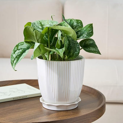 ADN Ceramic Planter, 6 Inch Plant Pots for Plants Modern Decor Indoor Flower Pot with Saucer and Drainage Hole, White