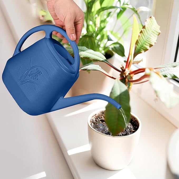 Watering Can - for Home Plant Garden - 1 Gallon - Blue