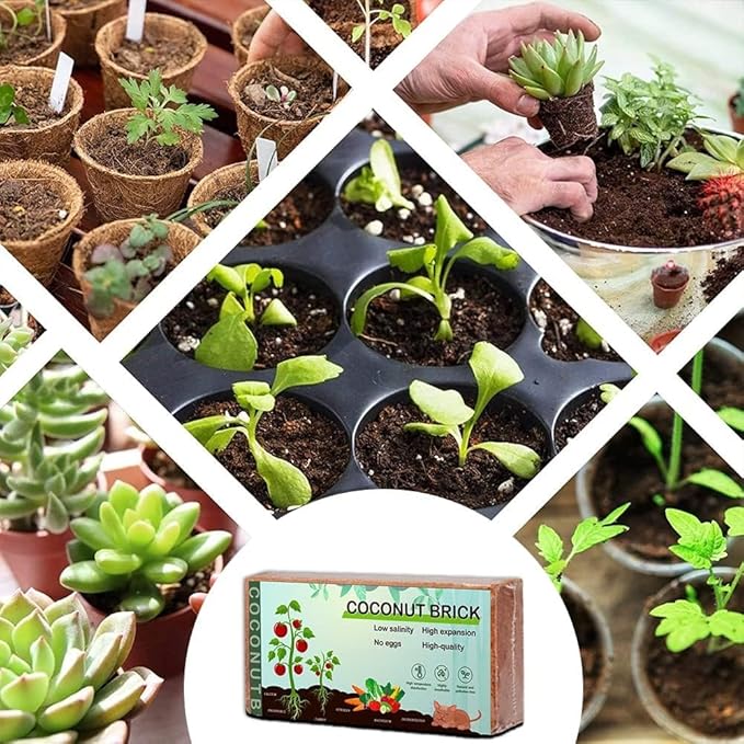Premium Coco Coir Brick, High Nutrinent Coconut Soil,100% Organic Low EC & PH Balanced Potting Soil for All Plants Gardening, Hydroponics and Green House (650G x 2)