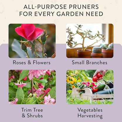 Modern Sprout Hand Pruners - Lightweight Pruning Shears W/Easy Lock- Gardening Scissors - Bypass Sharp Carbon Steel Blade - Rust Resistant - Garden Tools - Reusable Holster - Lavender