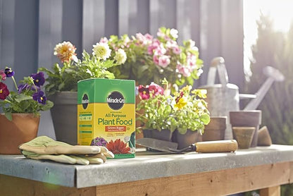 Miracle-Gro All Purpose Plant Food Plant Fertilizer (6 Pack), 3 lb