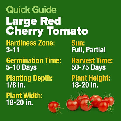 HOME GROWN Large Red Cherry Tomato Seeds 2 Pack (Solanum lycopersicum) - Approx.1000 Non-GMO Heirloom Tomato Seeds for Planting Vegetable Seeds for Homesteading, Sustainable Living, and Home Gardening