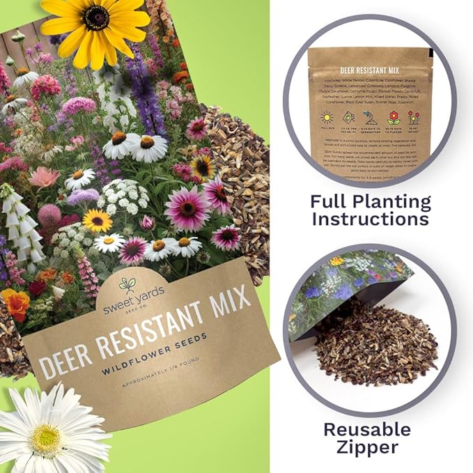 Deer Resistant Wildflower Seed Mixture - Bulk 1/4 Pound Bag - Over 60,000 Deer Tolerant Seeds - Open Pollinated and Non GMO