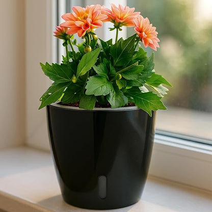 Self Watering Pots for Indoor Plants, 12-Pack 5'' Self Watering Planter with Drainage Holes, Small African Violet Pots with Water Level Indicator, Clear Wick Pot, Black