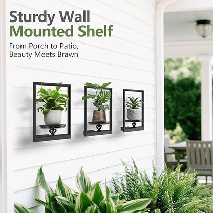 VEILS Wall Planters for Indoor Plants, 3D Floating Wall Mounted Shelf for Home Decor, Black Frame Plant Holder Stand, Modern Housewarming Gift Set for Living Room, Bedroom, Bathroom, Office, 1PC