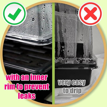 5-Pack No Drip Seed Starter Trays with 4" Humidity Dome - 240 Cells Deep Root Plug Trays, 2.76" Depth for Strong Roots Perfect for Vegetables, Herbs, Flowers & Plant Propagation, Gardening Supplies