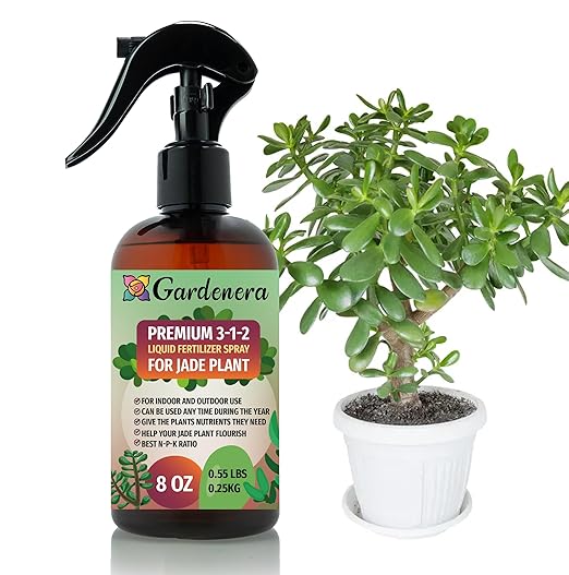 Gardenera Proffesional Jade Plant Spray Fertilizer Mist for Home Gardening | 3-1-2 Gentle Blend Mist for Healthy Leaves & Growth | Essential Nutrients for Jade Plants - 8oz
