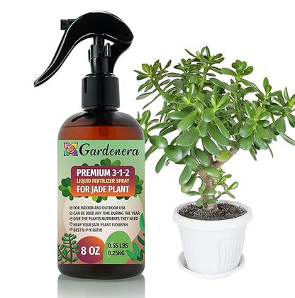 Gardenera Proffesional Jade Plant Spray Fertilizer Mist for Home Gardening | 3-1-2 Gentle Blend Mist for Healthy Leaves & Growth | Essential Nutrients for Jade Plants - 8oz