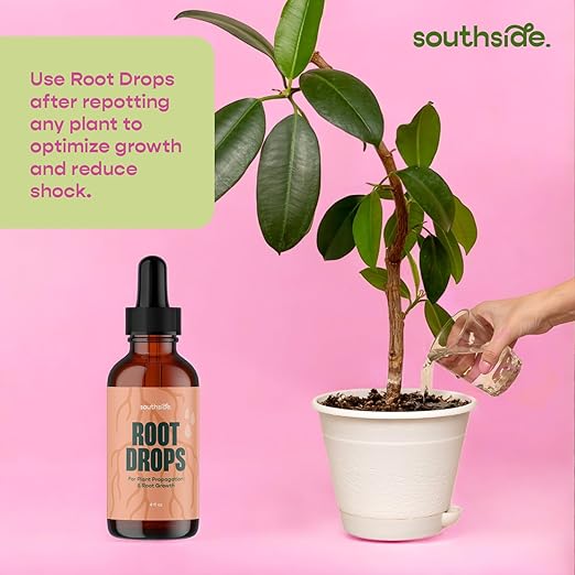 Root Drops - Liquid Rooting Hormone | Fast Propagation, Stronger Roots, Less Shock | Works in Water, Soil, Leca, Moss | for All Indoor Houseplants Like Pothos, Monstera, Philodendron (4 oz)