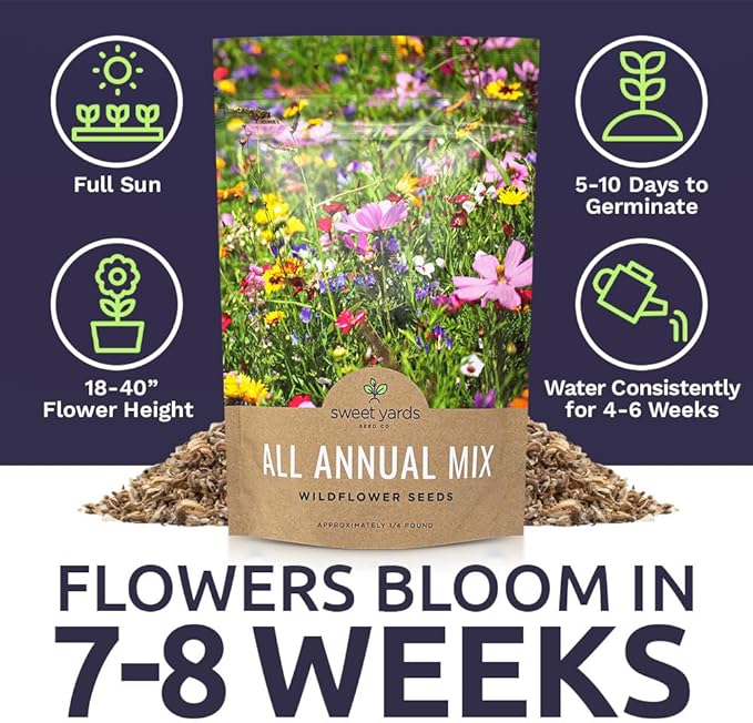 Bulk Wildflower Seeds Annual Quick Blooming Mix - 1/4 Pound Bag - Over 30,000 Open Pollinated Seeds