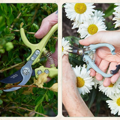 Modern Sprout Hand Pruners & Shears Set with Blister Pack - Lightweight Gardening Tools with Easy Lock - Sharp Carbon Steel Blades -Rust Resistant Scissors for Herbs, Flowers - Sage