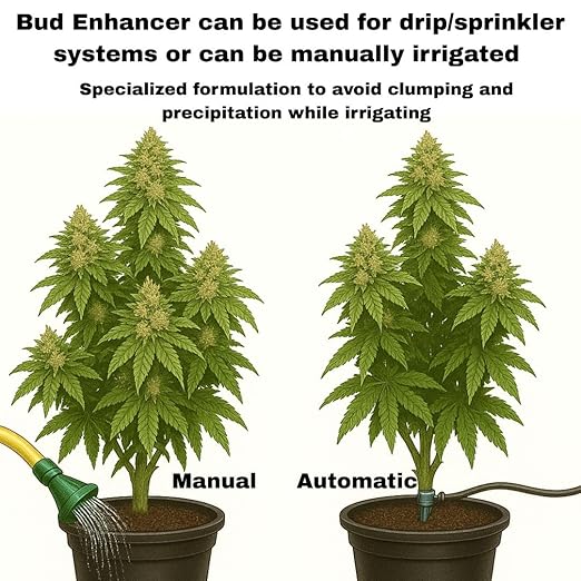 Bud Enhancer - Hydroponic Flower Booster - Flower Enhancer - Increase Bud Size and Quantity - Blooming Fertilizer - Hydroponic Blooming Fertilizer - Bud Booster - Flower Promoter.
