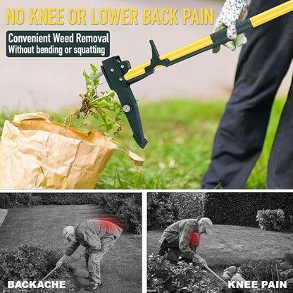 Weed Puller Tool, 50IN Long Handle 4 Claws Stand Up Weeding Tool, Extra Thickened Stainless Steel Shaft Garden Weeder,Remove the Roots of Thistles, Crabgrass, Dandelions, and Blackberries, etc.