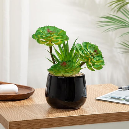 Briful Artificial Succulents Plants in Ceramic Pot, Faux Succulent with Black Planters – Modern Desk Decor for Home Office Shelf Bathroom, Small Fake Plants Potted