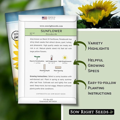 Sow Right Seeds - Peredovik Sunflower Seeds for Planting - Non-GMO Heirloom Packet with Instructions for Growing - Russian Black Sun Flower - Great for Wildlife and Sunflower Oil - Annual Blooms (4)