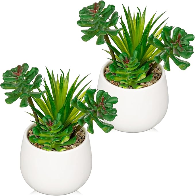 Briful Artificial Succulents Plants in Ceramic Pots, 2 Pack Faux Succulent Set with White Planters – Modern Desk Decor for Home Office Shelf Bathroom, Small Fake Plants Potted