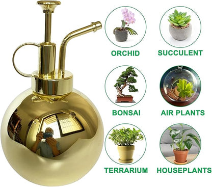 Stainless Steel Plant Sprayer, Small Watering Can, Modern Gardening Tool for Indoor Potted Plants, Gold Color
