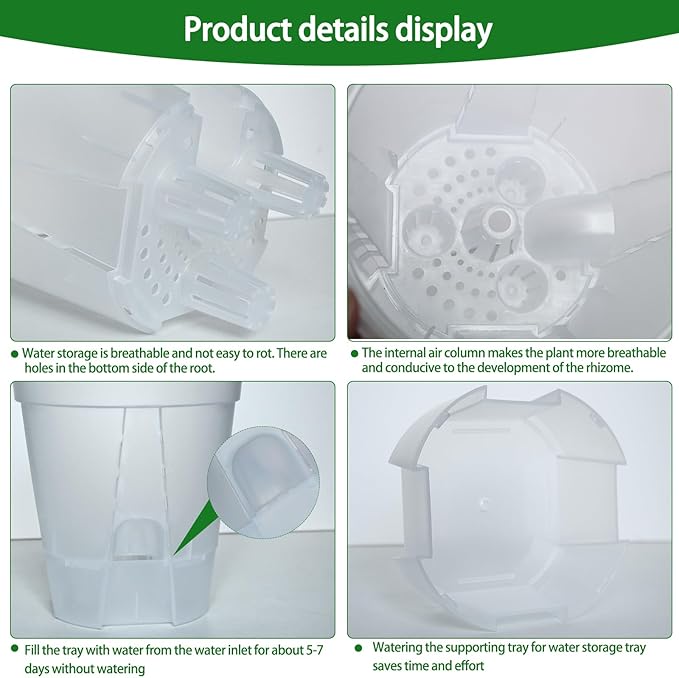 Cdd's Path 6-Pack Self Watering Pots Set with Holes for Indoor/Outdoor Plants,2 Each of 5, 6 and 7 Inch Planter Pot with Watering Hole/Reservoir and Air Pipes,Clear