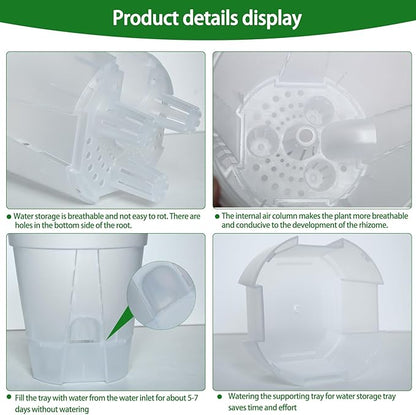 Cdd's Path 6-Pack Self Watering Pots Set with Holes for Indoor/Outdoor Plants,2 Each of 5, 6 and 7 Inch Planter Pot with Watering Hole/Reservoir and Air Pipes,Clear