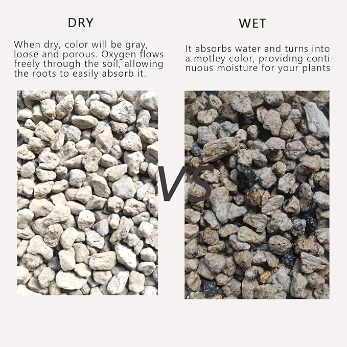 Horticultural Pumice for Plants 10QT, Natural Organic Pumice Stones for Succulent Cactus Bonsai Tree Orchid Potting Mixed, Improves Soil Aeration and Drainage, Promotes Root