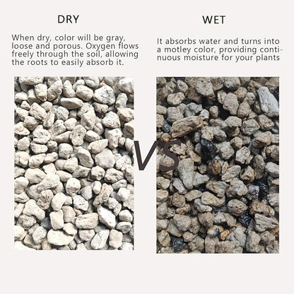 Horticultural Pumice for Plants 5QT, Natural Organic Pumice Stones for Succulent Cactus Bonsai Tree Orchid Potting Mixed, Improves Soil Aeration and Drainage, Promotes Root