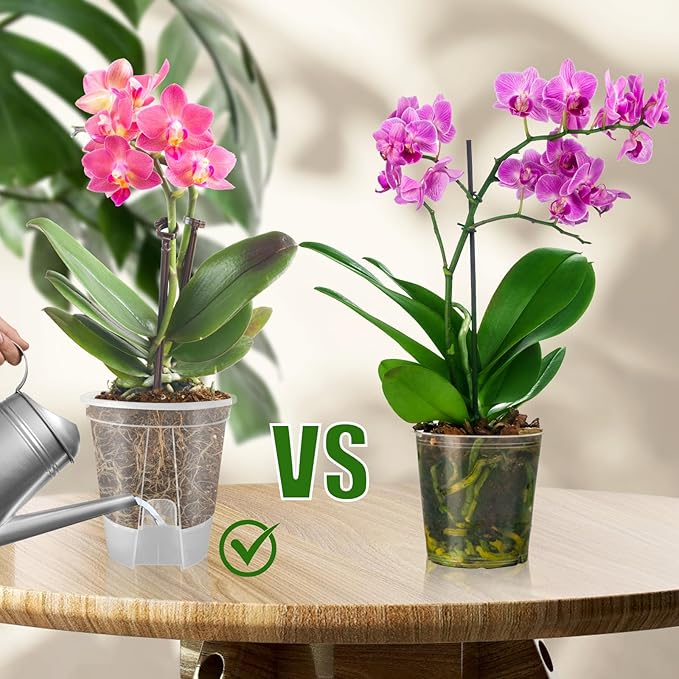 Cdd's Path 5-Pack 6 Inch Self Watering Pots Set with Holes for Indoor/Outdoor Plants,Planter Pot with Watering Hole/Reservoir and Air Pipes,Clear