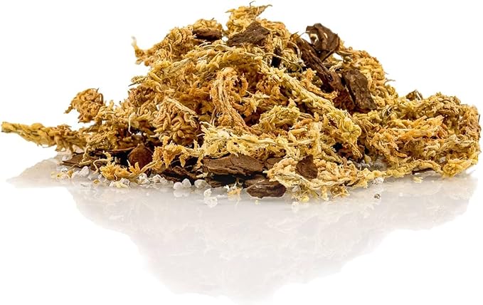 Premium Sphagnum Moss, Perlite and New Zealand Pine Bark Blend for Carnivorous Plants - Perfect for Venus Fly Traps, Pitcher Plants, Sarracenia, Butterworts, and Sundews by GARDENERA - 3 Quart Bag