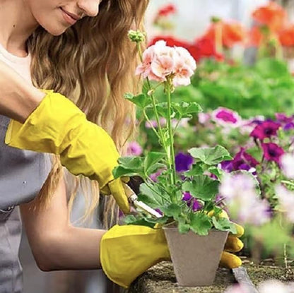 144 Cells Seed Entry Tray, 12 Packs Biodegradable Seedling Peat Pots, Organic Germinating Plant Entry Kit with 100 White Labels and 2 Planting Transplanters