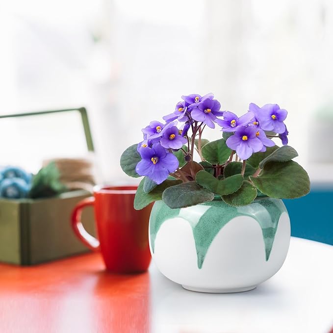 African Violet Pots, 6 Inch Self Watering Pots for Indoor Plants, Easy Plant Self Watering Planter, Ceramic Plant Pot with Absorbent Inner Pot for Flowers - Gradient Green (No Plants)