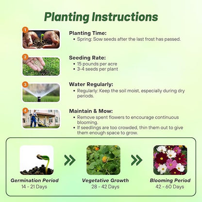 Outsidepride Sensation Mix Cosmos Bipannatus Seeds - 1 lb. Annual, Drought-Tolerant, Self-Sowing, Mixed Flower Seeds for Planting Outdoors, Easy-Grow Pollinator Garden & Cut Flowers (AAS Winner)