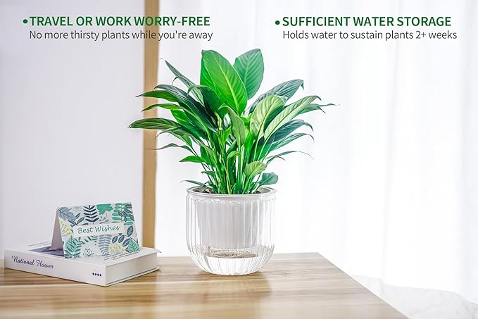 Melphoe 2 Pack Self Watering Hanging Planters Indoor Flower Pots, 6.5 Inch Outdoor Hanging Plant Pot Basket, Plant Hanger with 3Hooks Drainage Holes for Garden Home