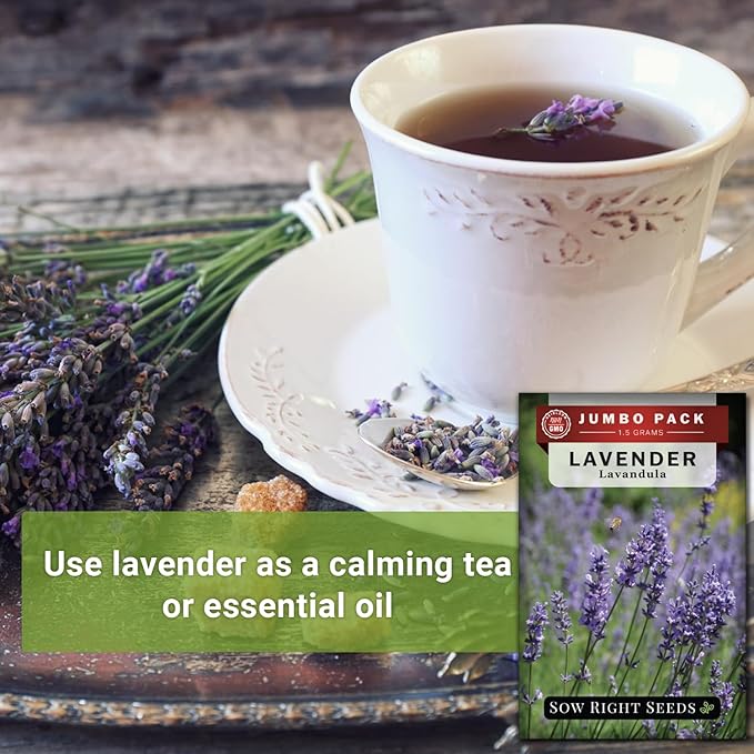 Sow Right Seeds - Bulk Lavender Seeds for Planting - 1.5 Grams, 1500 Seeds - Non-GMO Heirloom Jumbo Pack with Instructions to Grow an Indoor or Outdoor Herb Garden - Grow Loads of Purple Blooms