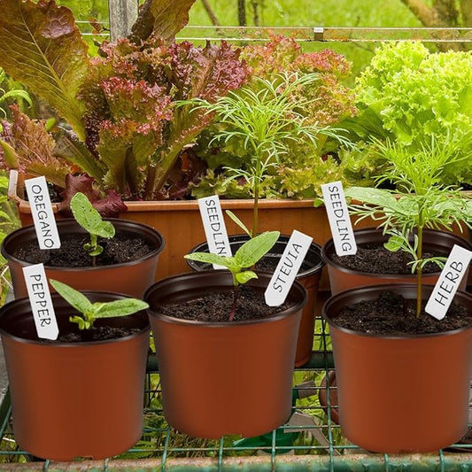 100 Pcs Plant Nursery Pots, 6 Inch Large Plant Seedling Pots with Labels Plastic Plant Flower Pots with Drainage Holes Indoor Outdoor for Succulent Cutting Transplanting