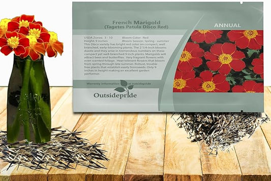 Outsidepride Disco Red French Marigold Seeds - 200 Pcs Annual, Compact, Heat & Drought Tolerant Flower Seeds for Planting w/Prolific Blooms, Ideal for Vibrant Pollinator Gardens