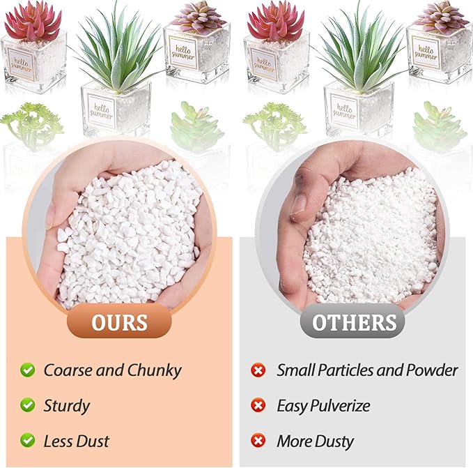 Riare 4 Quarts Organic Perlite for Plants - Horticultural Perlite Soil Amendment for Plants Potting Mix, Natural Chunky Perlite Soil Additive Conditioner Improve Root Growth, Drainage and Ventilation