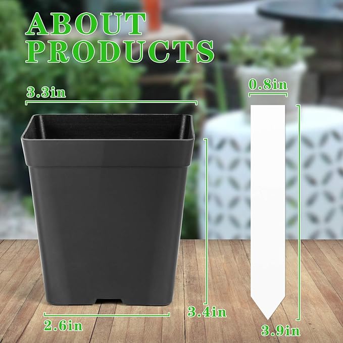 June Fox Square Nursery Pots 3.3 Inches Flexible Plastic Seedling Pots Square Pots for Plants, Succulent, Flower, Pack of 60, with 60 PCS Plant Labels