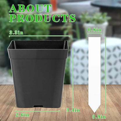 June Fox Square Nursery Pots 3.3 Inches Flexible Plastic Seedling Pots Square Pots for Plants, Succulent, Flower, Pack of 60, with 60 PCS Plant Labels