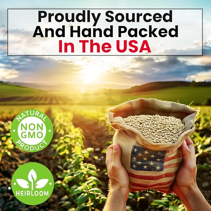 Hot Pepper Seeds for Planting, Cayenne, Hungarian Yellow, Jalapeno, Serrano, Habanero Orange, Heirloom Pepper Seeds Variety Pack, NonGMO, Made in USA