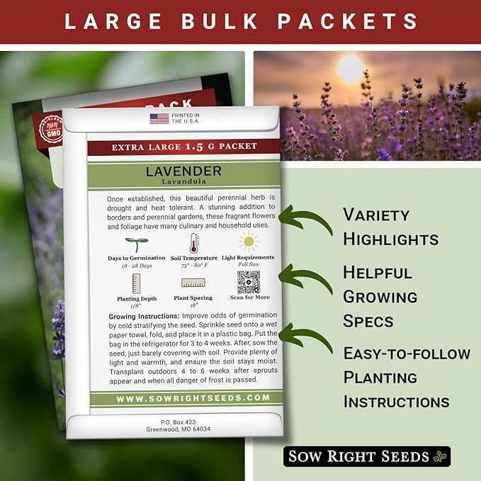 Sow Right Seeds - Bulk Lavender Seeds for Planting - 1.5 Grams, 1500 Seeds - Non-GMO Heirloom Jumbo Pack with Instructions to Grow an Indoor or Outdoor Herb Garden - Grow Loads of Purple Blooms