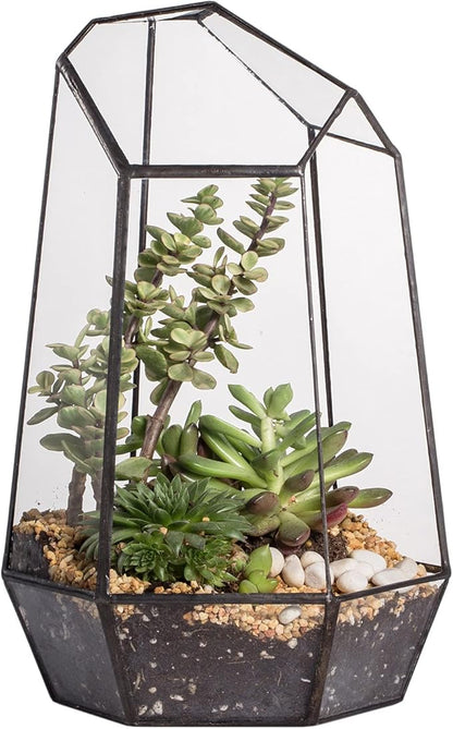 NCYP Geometric Glass Terrarium Planter for Succulent, Small Cacti, Black Irregular Opened Container Pot, Indoor Home Garden Office Tabletop Decor, 6.5" x 5.7" x 9.8" (No Plants, No Door)
