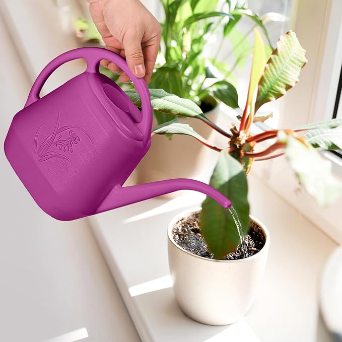 Watering Can - for Home Plant Garden - 1 Gallon - Rose Red