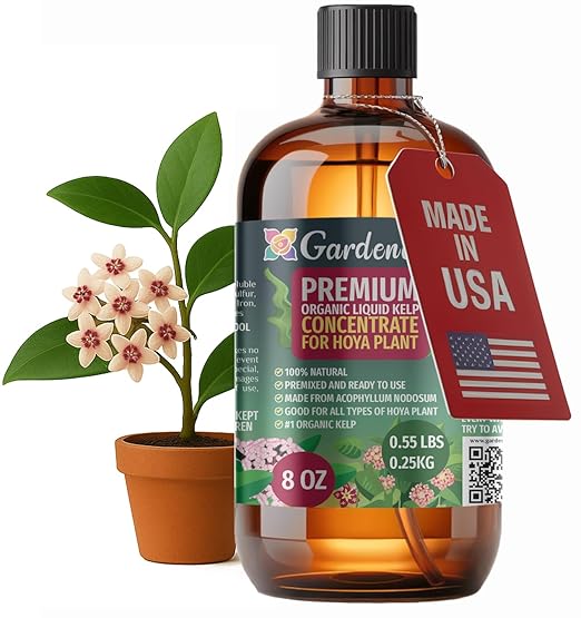 GARDENERA Premium Organic Seaweed & Kelp Superfood for Hoya Plants - 8 oz - Liquid Kelp Fertilizer Concentrate (Makes 45 Gallons)