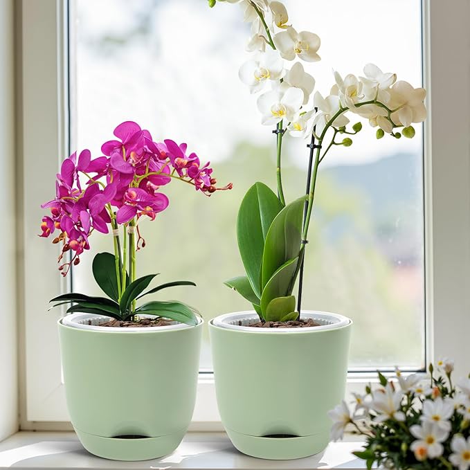 QCQHDU 2 Pack 5.7 Inch Orchid Pots with Holes for Repotting, Double-Layer and Self Watering Orchid Pot with Good Air Circulation