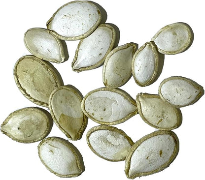 Seed Needs White Pumpkin Seeds for Planting Lumina Pumpkins - Non-GMO Heirloom & Untreated Vegetable Seeds to Plant an Outdoor Pumokin Patch - Perfect for Carving (2 Packs)