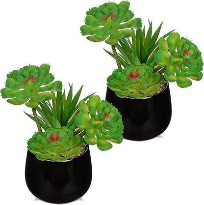 Briful Artificial Succulents Plants in Ceramic Pots, 2 Pack Faux Succulent Set with Black Planters – Modern Desk Decor for Home Office Shelf Bathroom, Small Fake Plants Potted