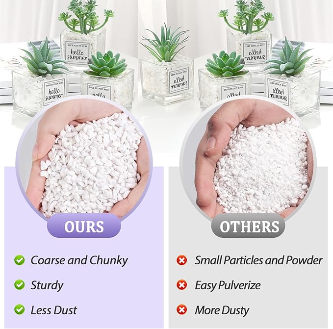 Riare 10 Quarts Organic Perlite for Plants - Horticultural Perlite Soil Amendment for Plants Potting Mix, Natural Chunky Perlite Soil Additive Conditioner Improve Root Growth, Drainage and Ventilation