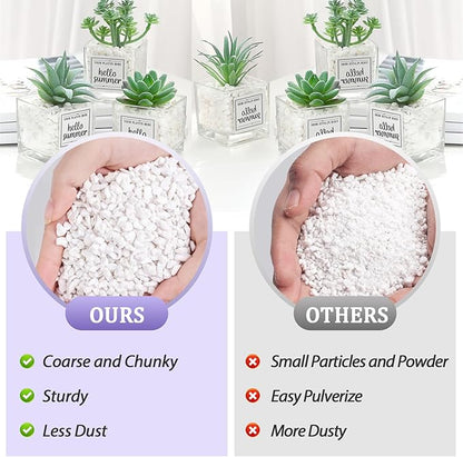 Riare 10 Quarts Organic Perlite for Plants - Horticultural Perlite Soil Amendment for Plants Potting Mix, Natural Chunky Perlite Soil Additive Conditioner Improve Root Growth, Drainage and Ventilation