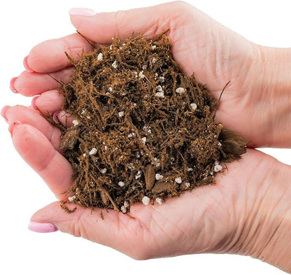 Premium Gardenera House Plant Potting Mix | Fern + New Zealand Bark + Perlite | Great for Pothos, Spider Plants, Montsera, Philodendron, English Ivy - 2 Quart Bag