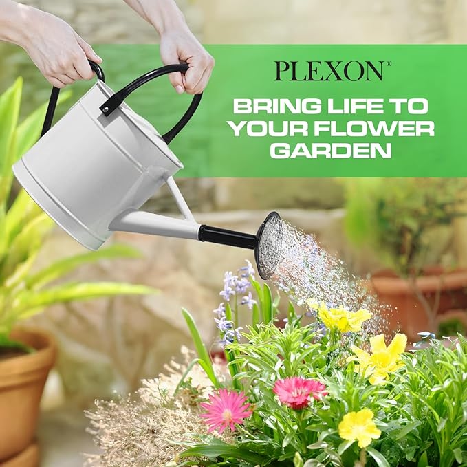Plexon 1 Gallon Metal Watering Can Outdoor, Flower Plant Gardening Garden Large Watering Can Pot, Black Galvanized Steel Handles and Removable Spray Spout, White